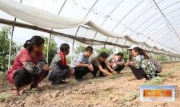 娱乐吃瓜视频封面怎么做,如何抓住眼球，吸引观众